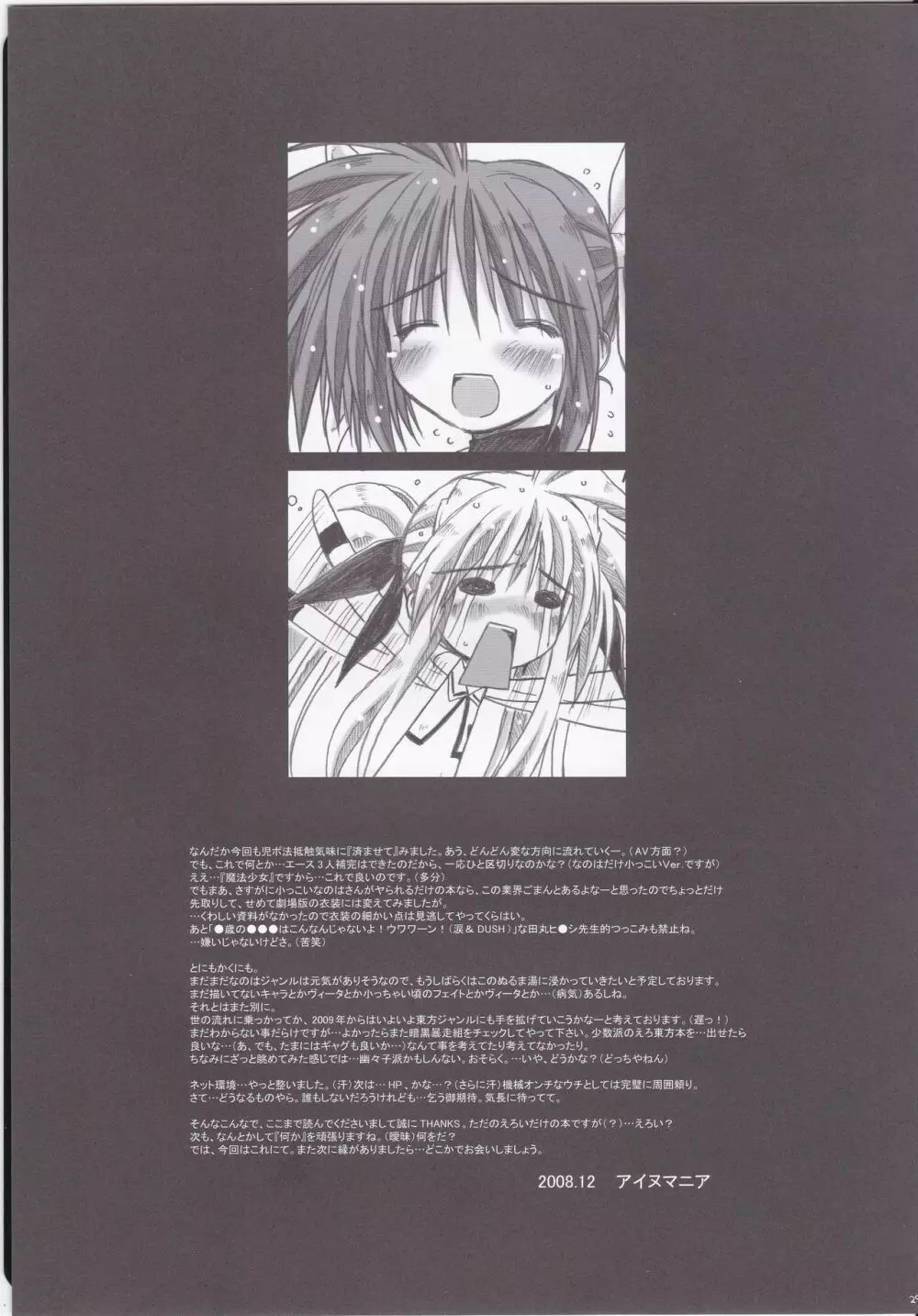 リリカルな魔法少女が劇場版成功を願ってがんばる本。 Page.29