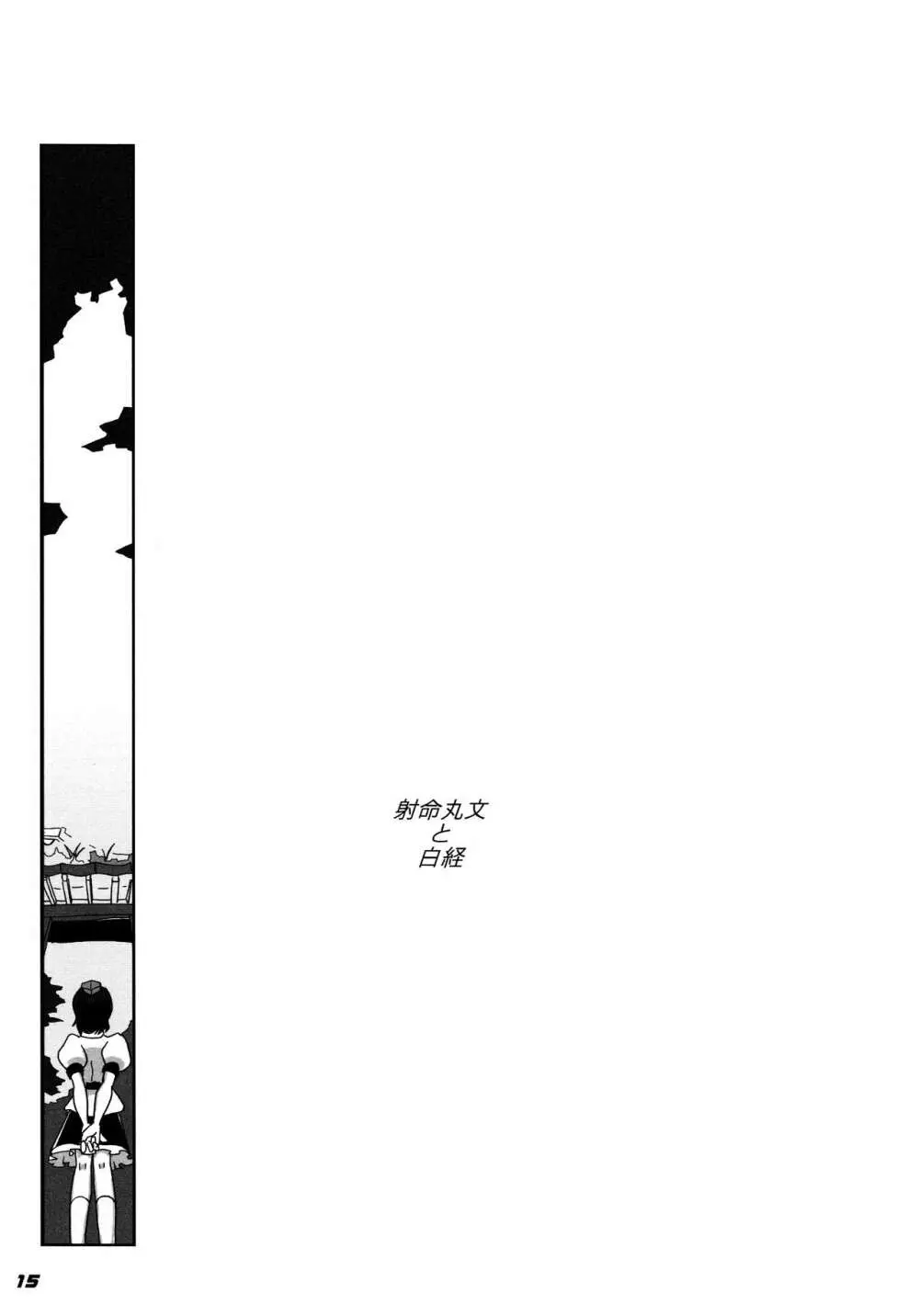 TOHO N+ 109/14 Page.17