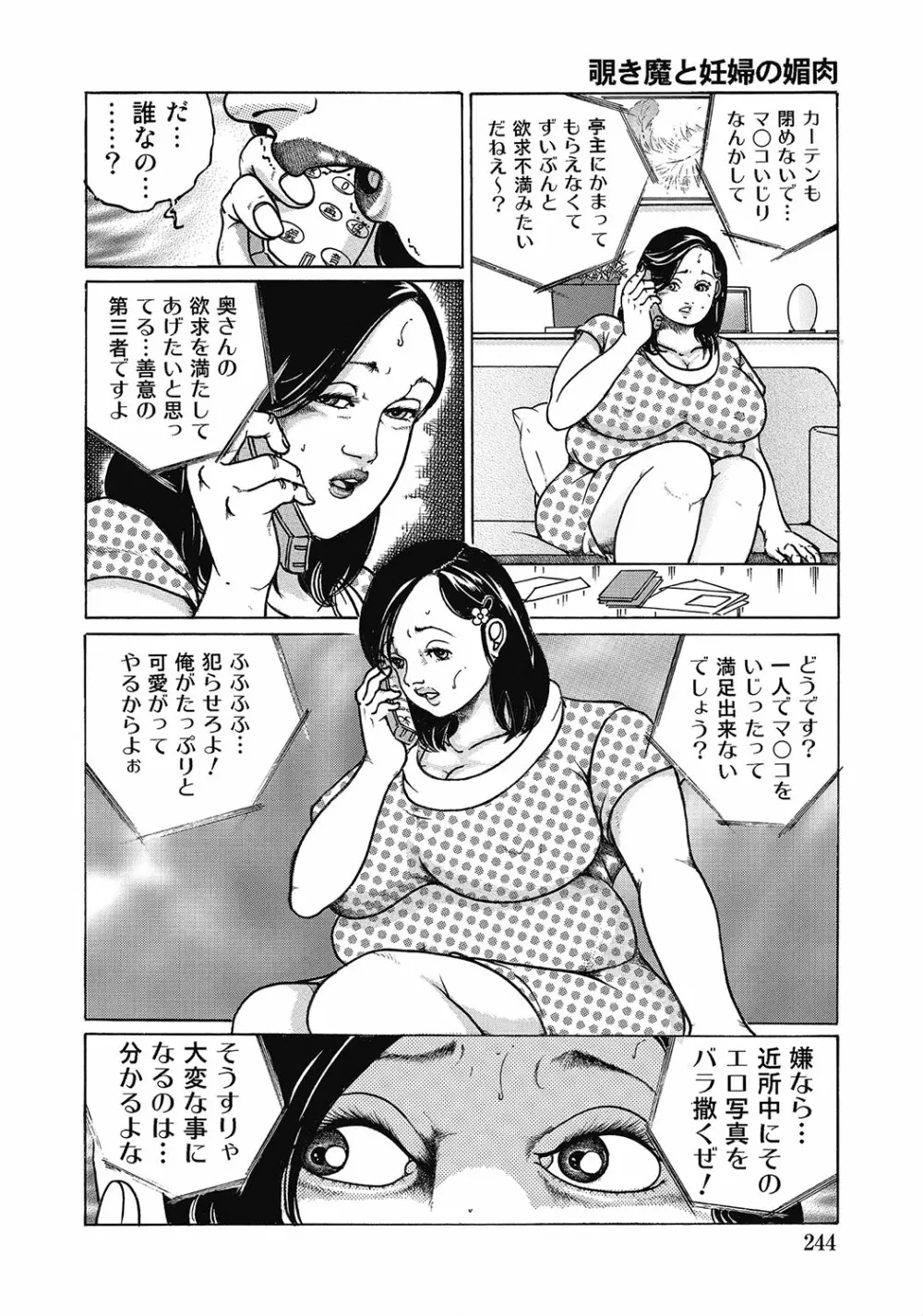 スキモノ! 巨乳奥様天国 Page.243