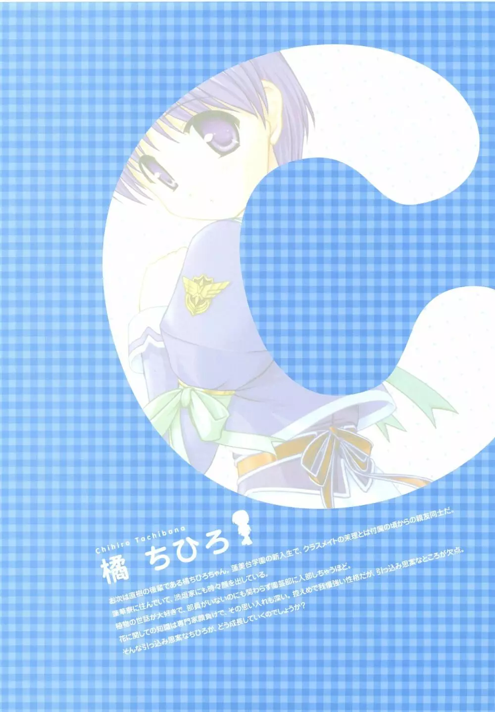 月は東に日は西に ～Operation Sanctuary～ ビジュアルファンブック 初回版 Page.73