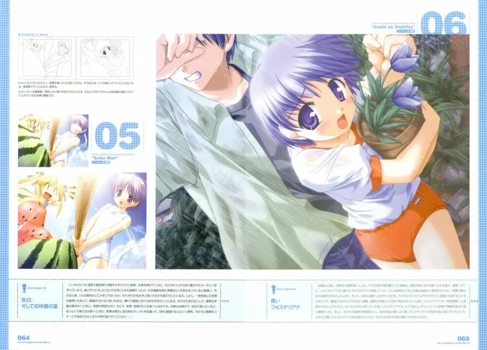 月は東に日は西に ～Operation Sanctuary～ ビジュアルファンブック 初回版 Page.84
