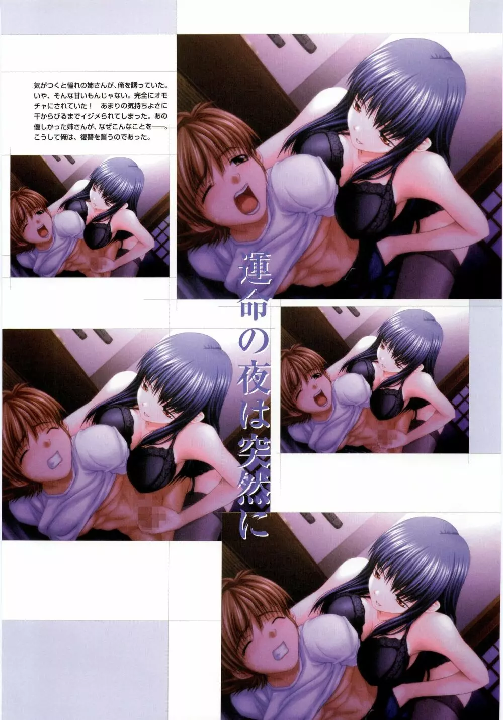 姉、ちゃんとしようよっ! 公式ファンブック 愛と罵倒の日々 Page.9