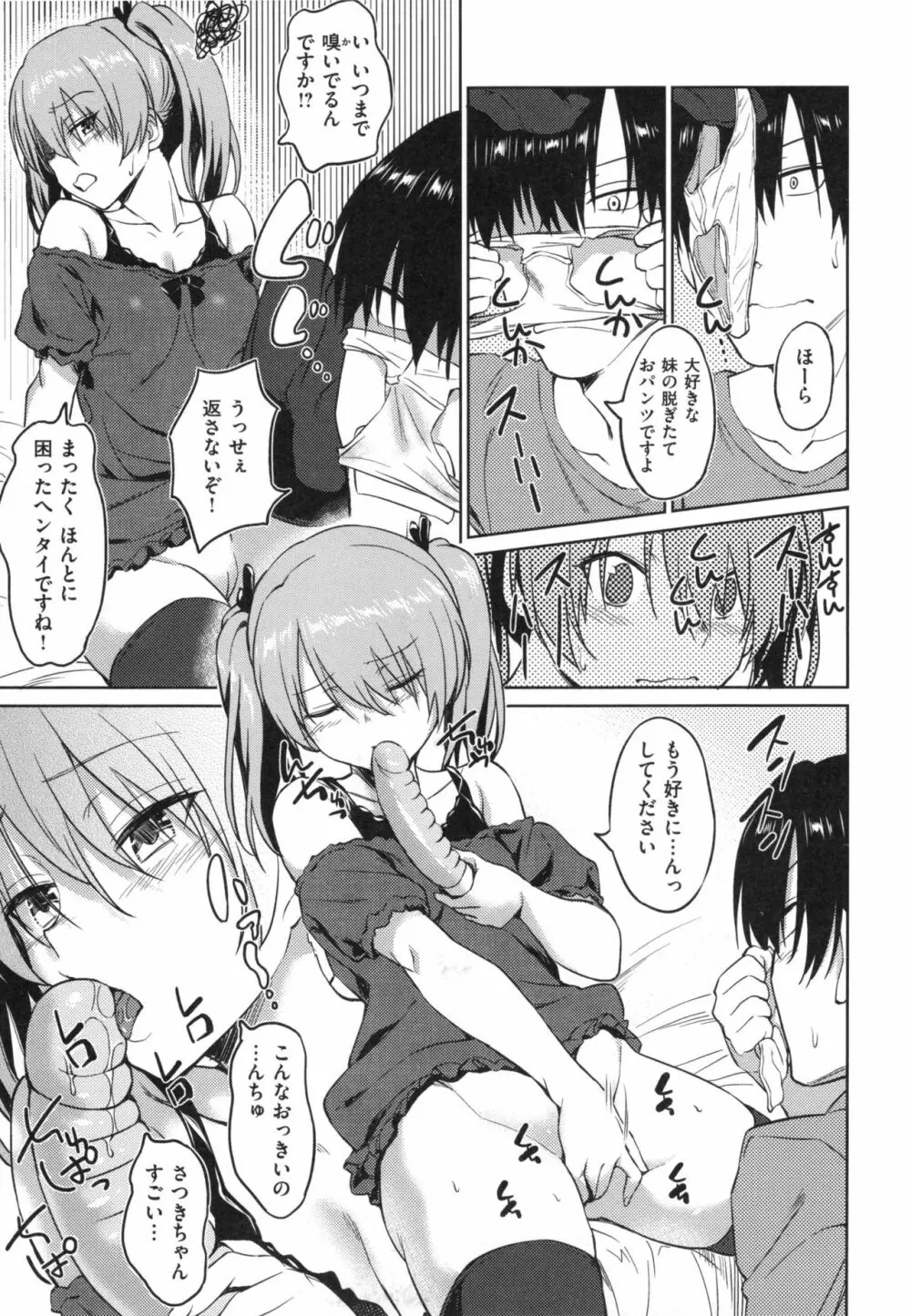 パコラッシュ! + とらのあなリーフレット Page.12