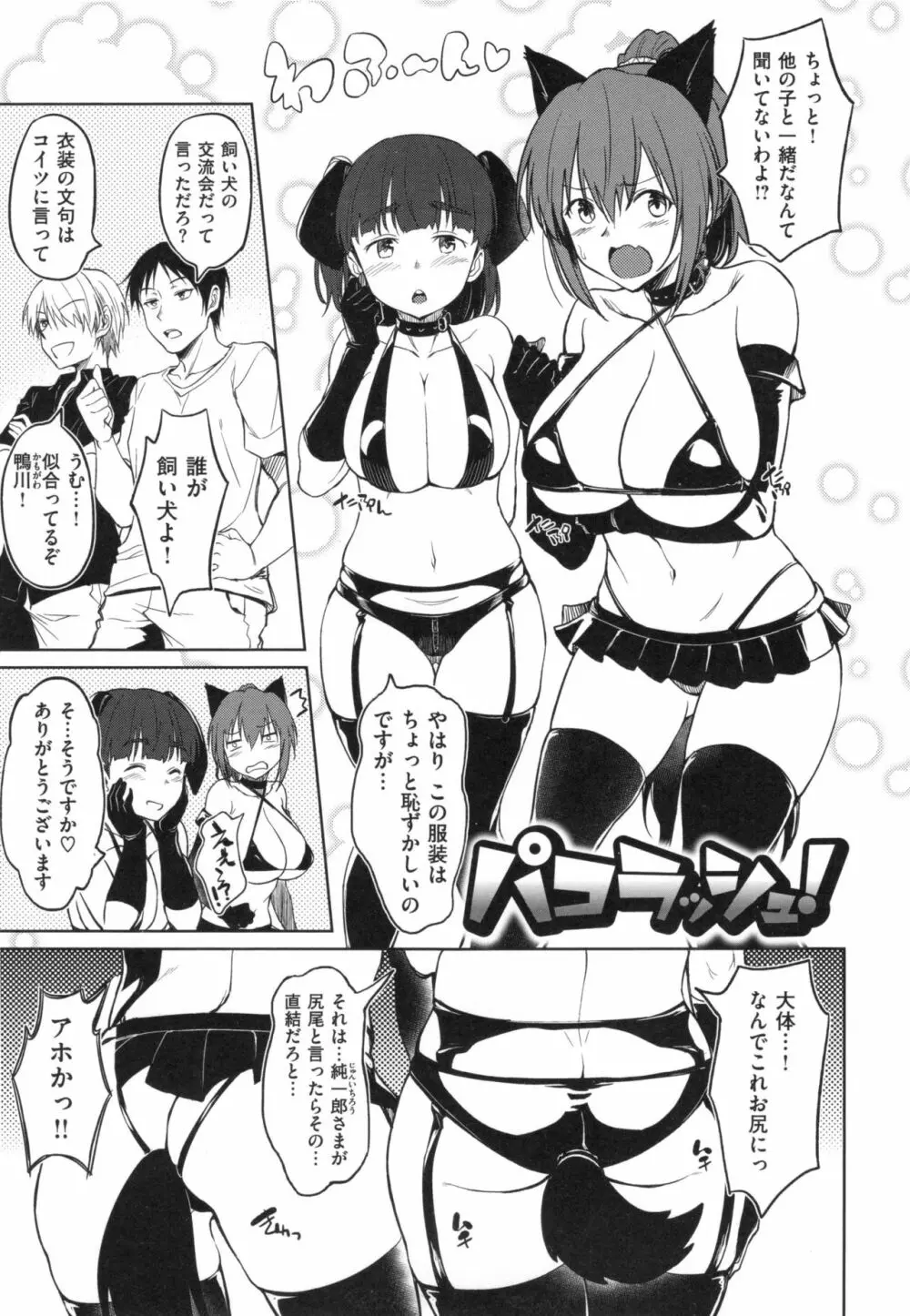 パコラッシュ! + とらのあなリーフレット Page.224