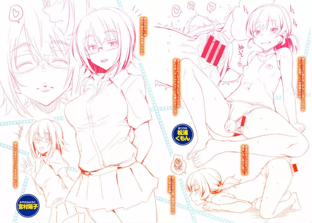 パコラッシュ! + とらのあなリーフレット Page.233