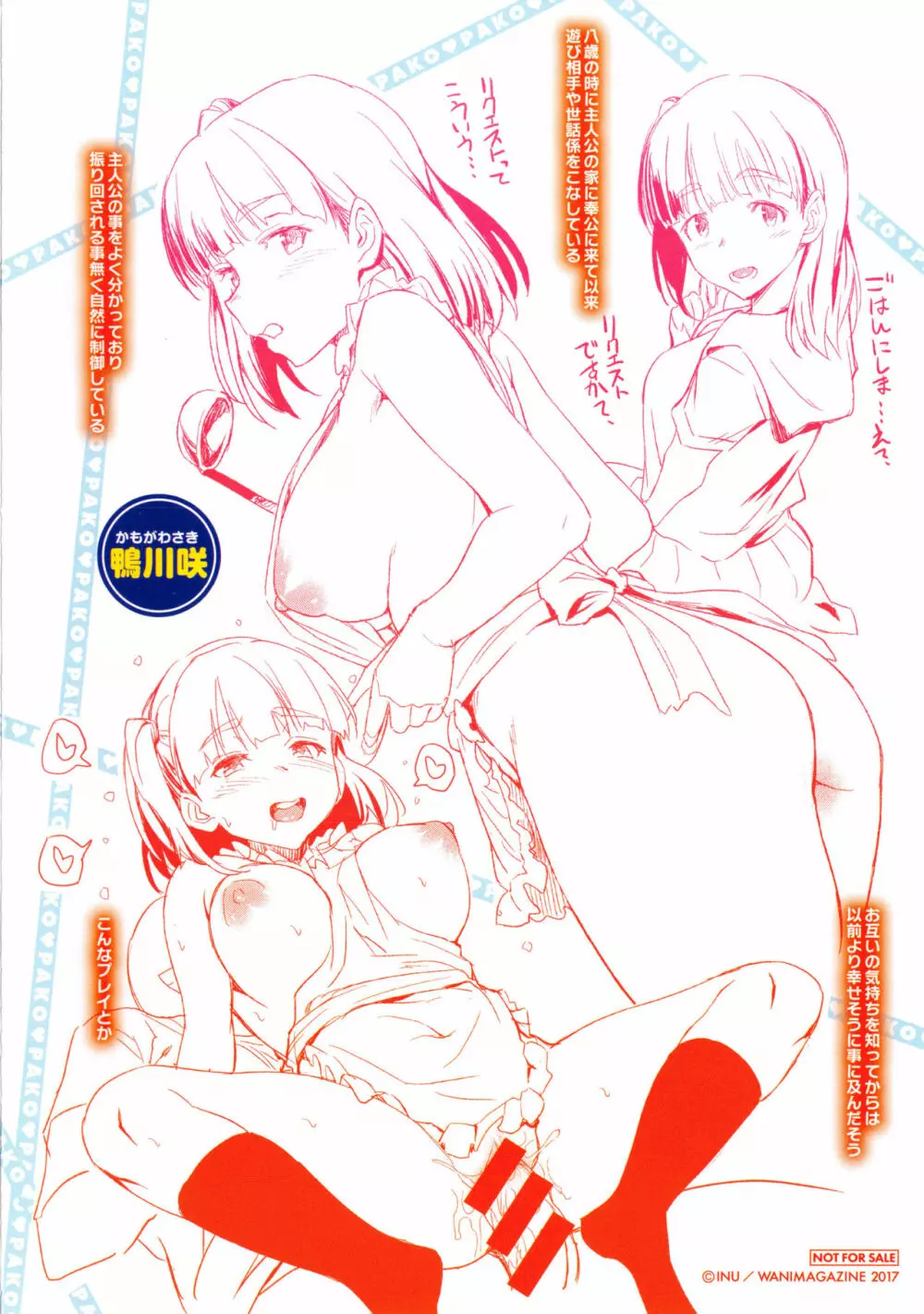 パコラッシュ! + とらのあなリーフレット Page.234