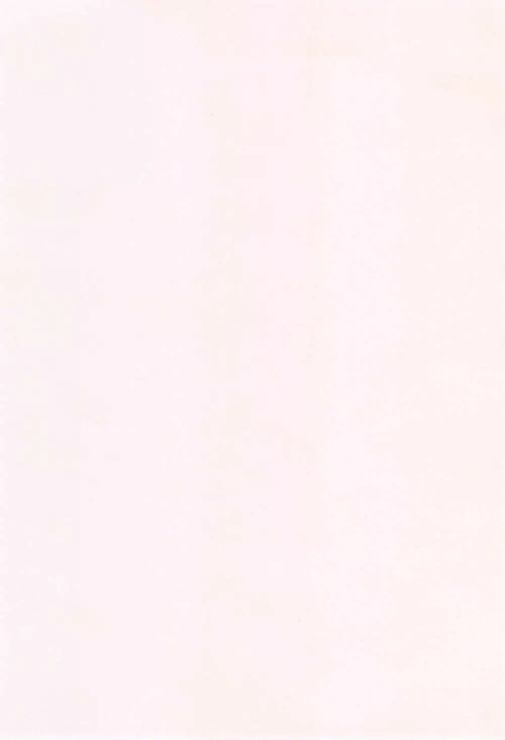 パコラッシュ! + とらのあなリーフレット Page.235