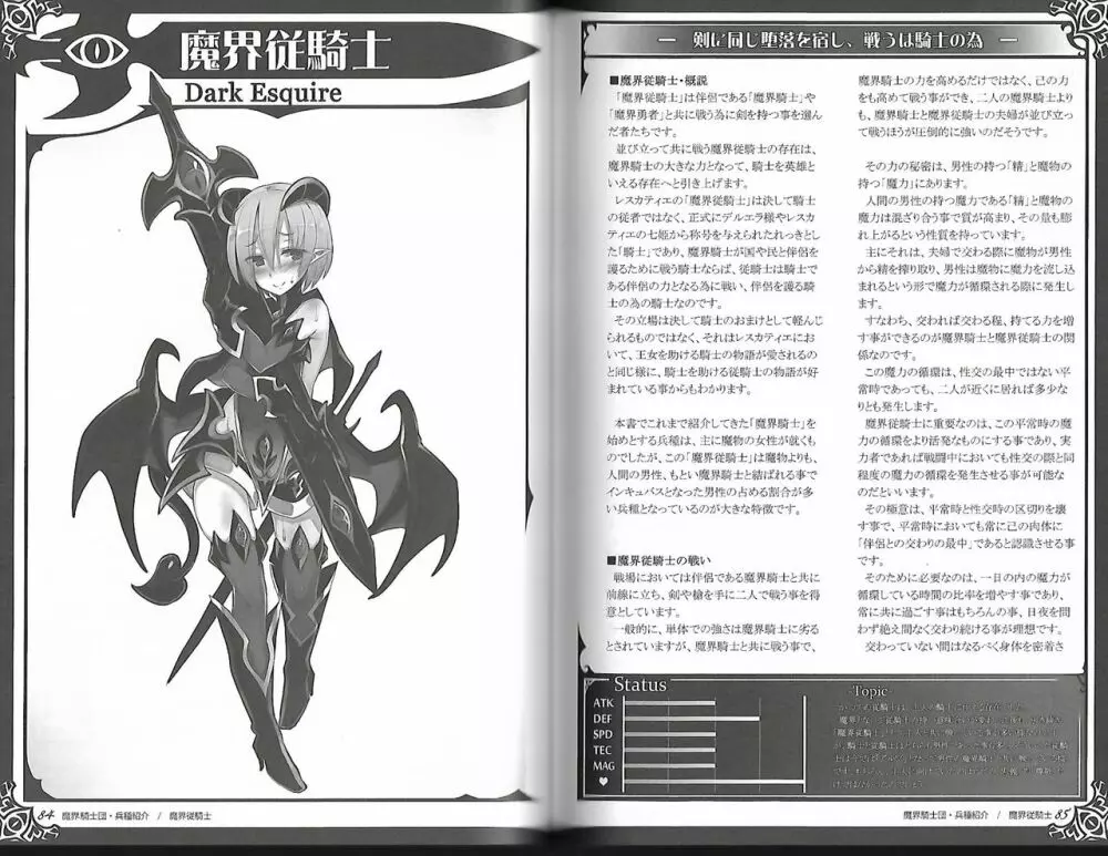魔物娘図鑑ワールドガイド外伝2 サルバリシオン~レスカティエの魔界騎士たち~ Page.46