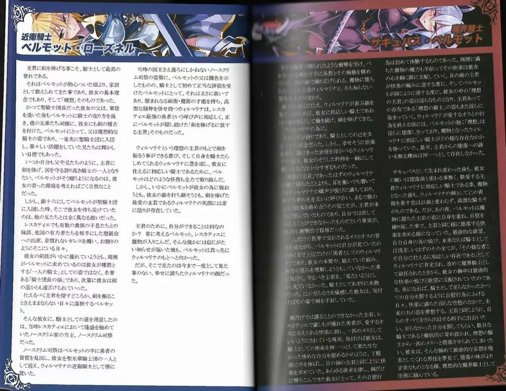 魔物娘図鑑ワールドガイド外伝2 サルバリシオン~レスカティエの魔界騎士たち~ Page.6