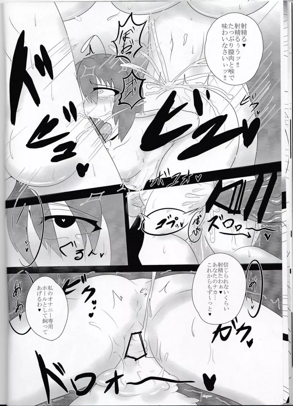 東方双珍録~風見幽香~ Page.15