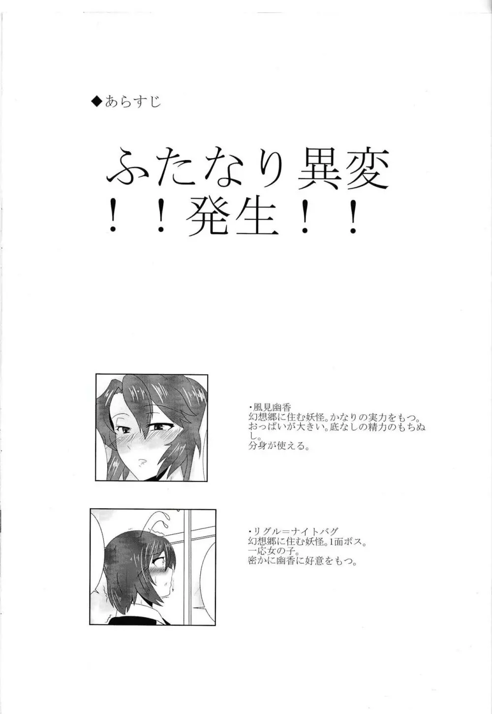 東方双珍録~風見幽香~ Page.2