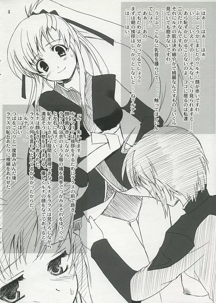 おまけ本 ~ルナマリアとラクスの場合~ Page.4