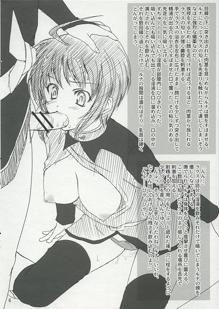 おまけ本 ~ルナマリアとラクスの場合~ Page.6