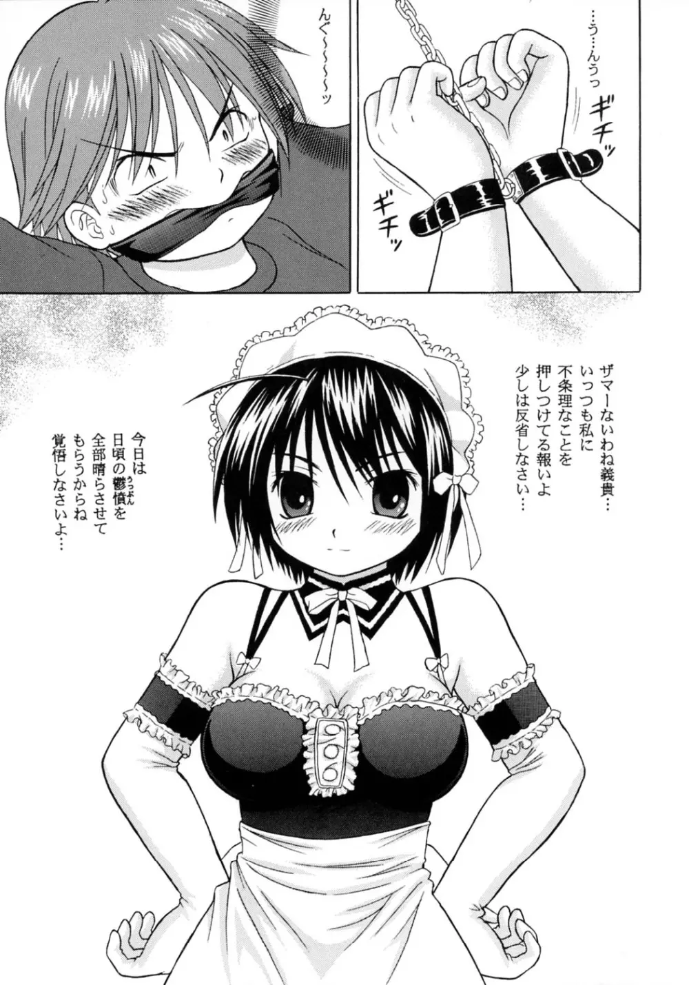 これでも私の御主人様 VOLUME:0 Page.5