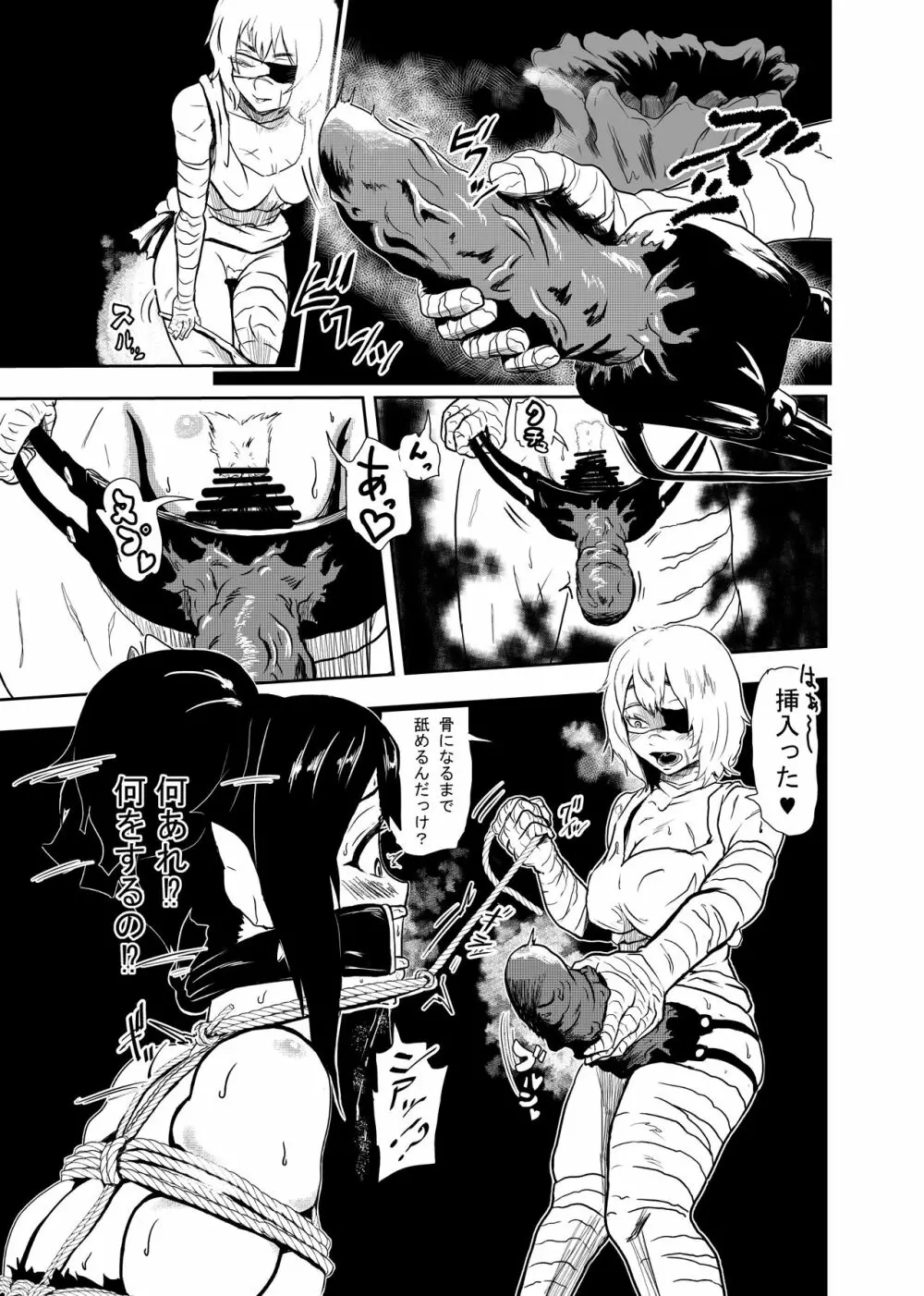 ヴァンパレイド2 ~吸血鬼 三姉妹 捕縛編~ Page.13