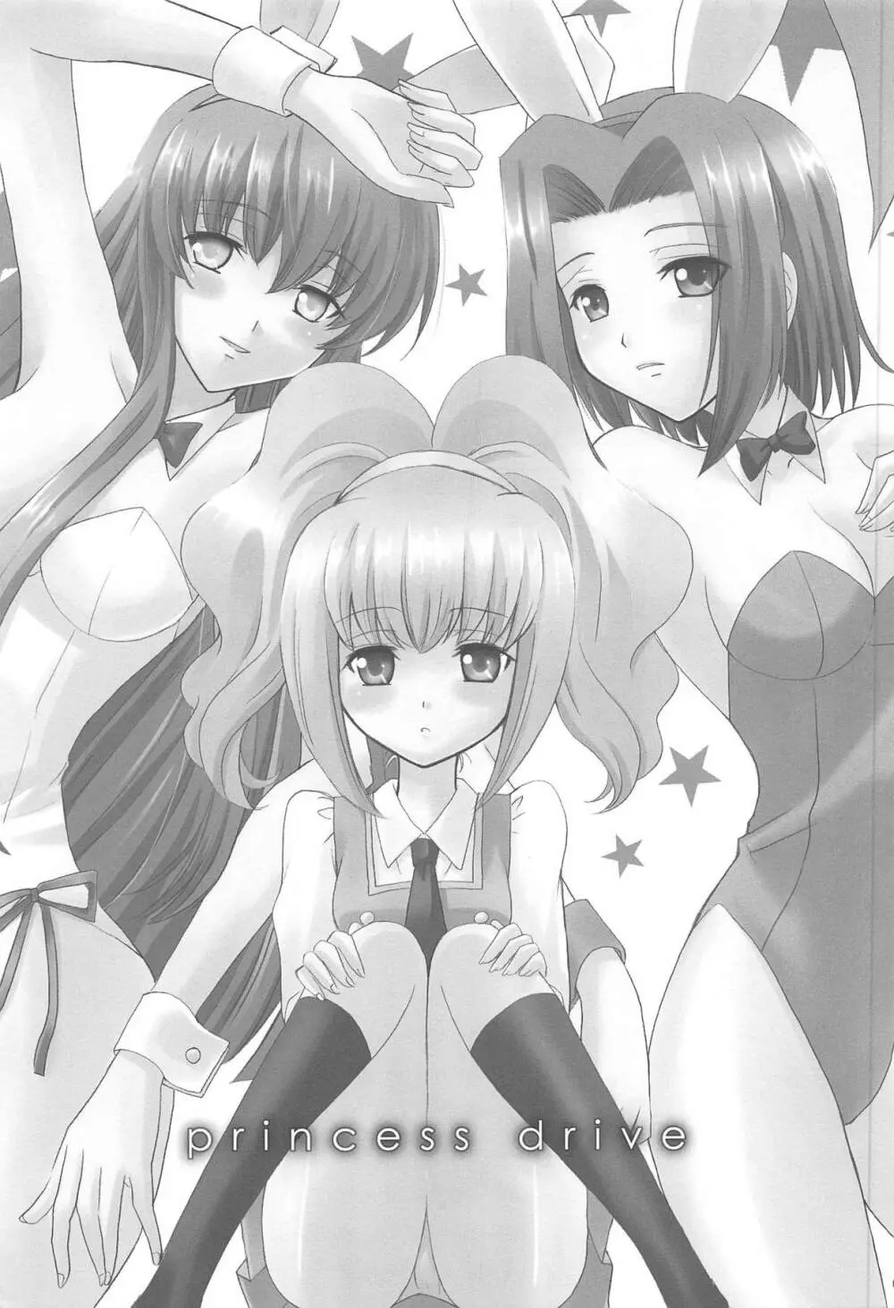 princess drive Page.6