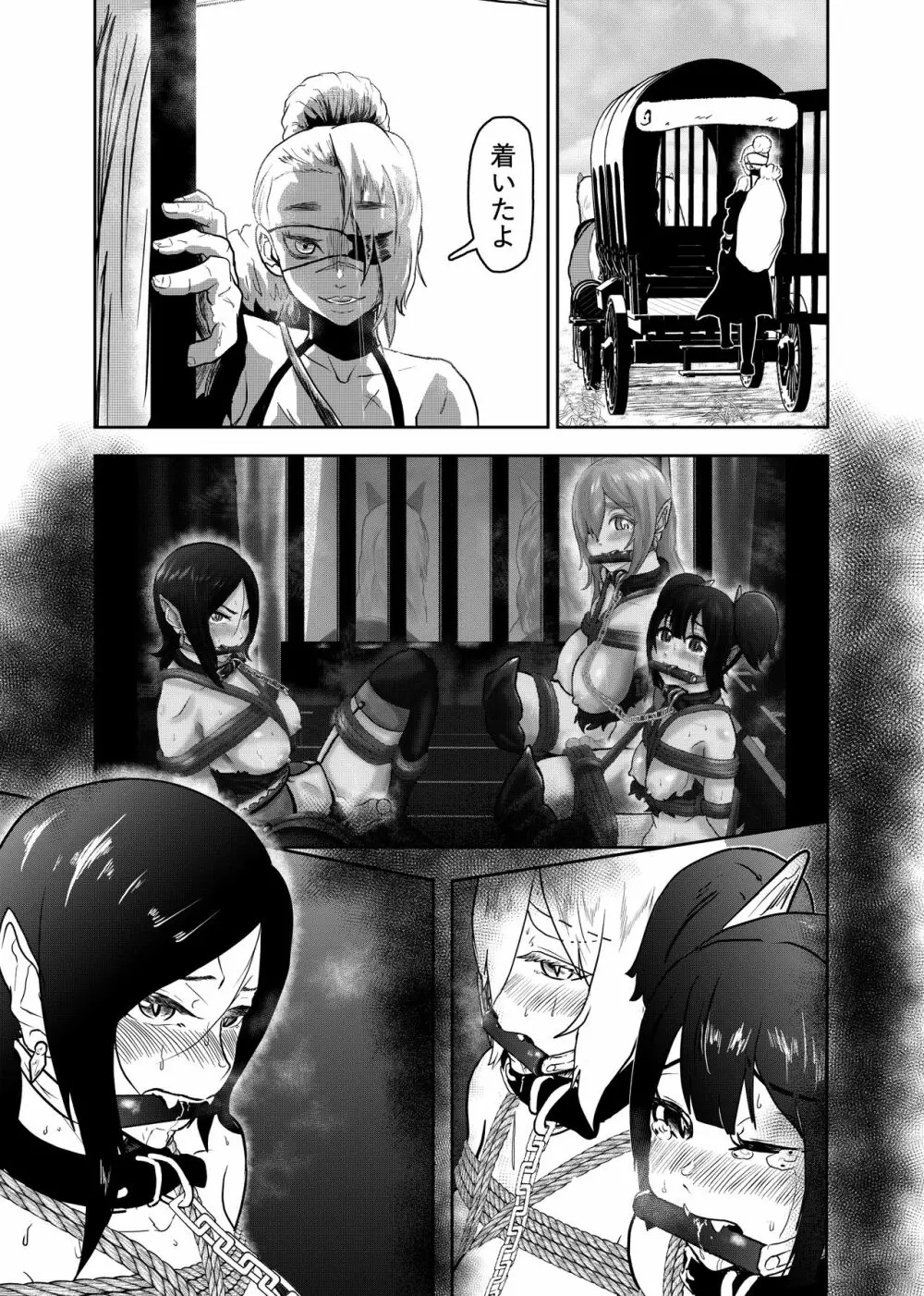 ヴァンパレイド5 ~吸血鬼 三姉妹 捕縛編~ Page.3