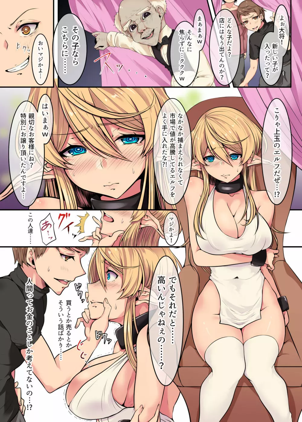 エルフの末路~処女から娼婦堕ちする200年間~ Page.12