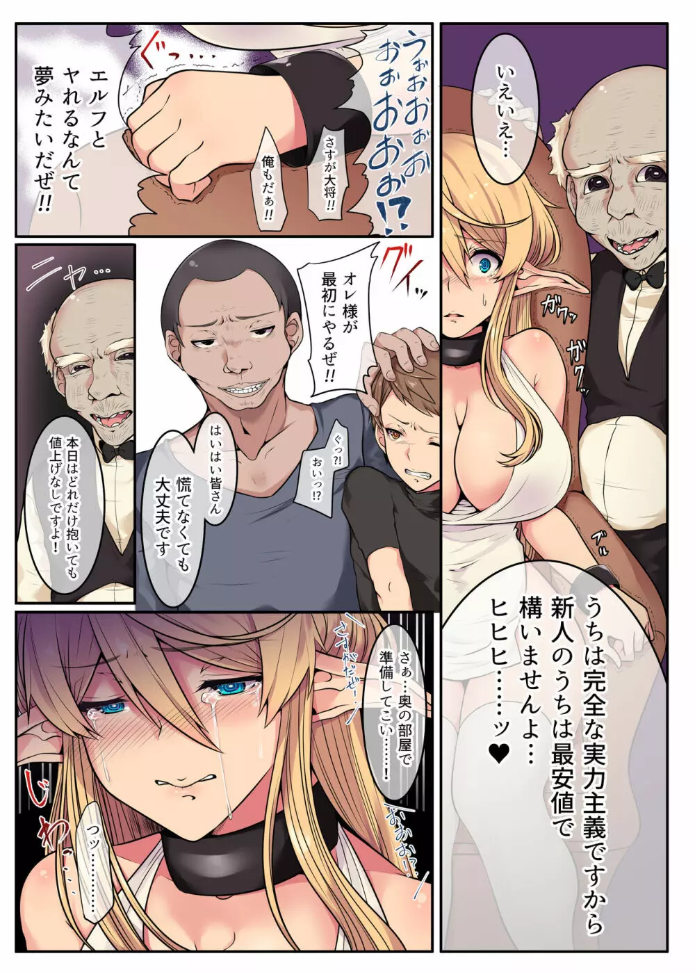 エルフの末路~処女から娼婦堕ちする200年間~ Page.13