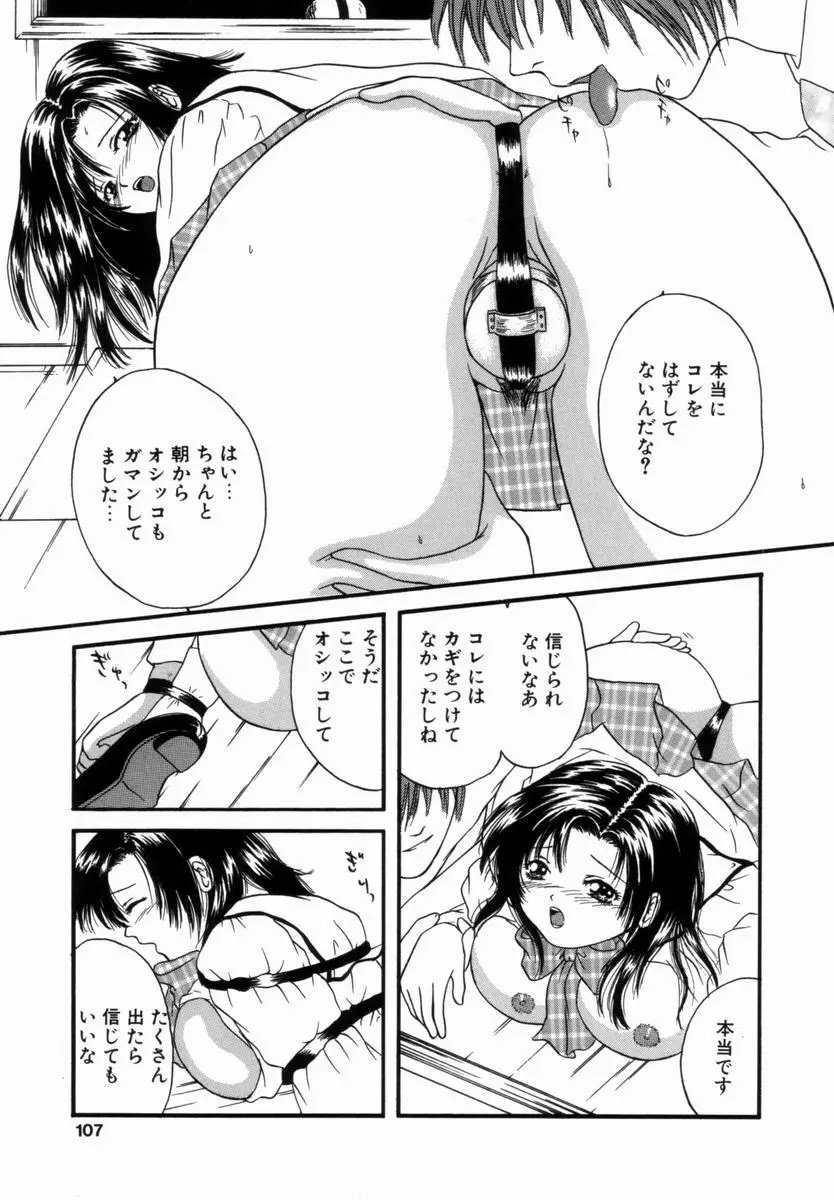 姦淫!美肉姉妹 Page.106