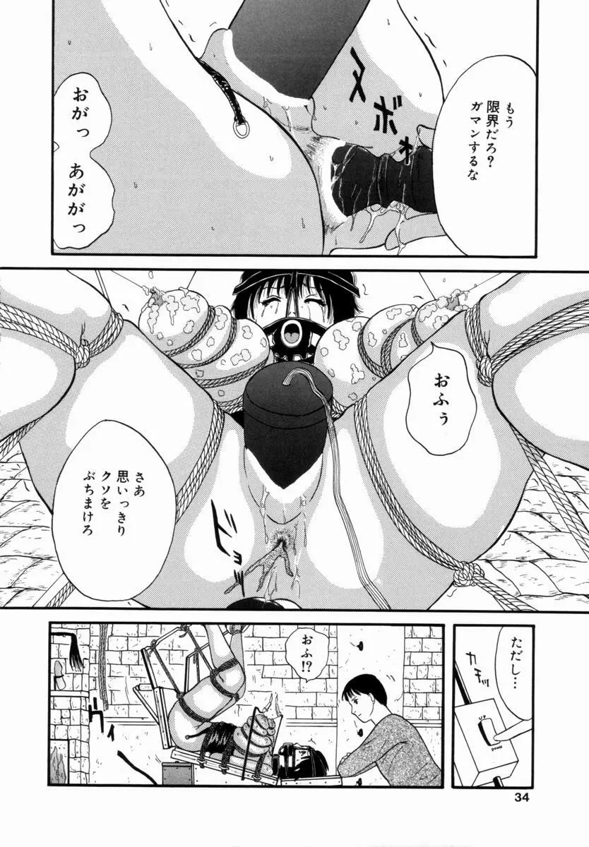 姦淫!美肉姉妹 Page.33