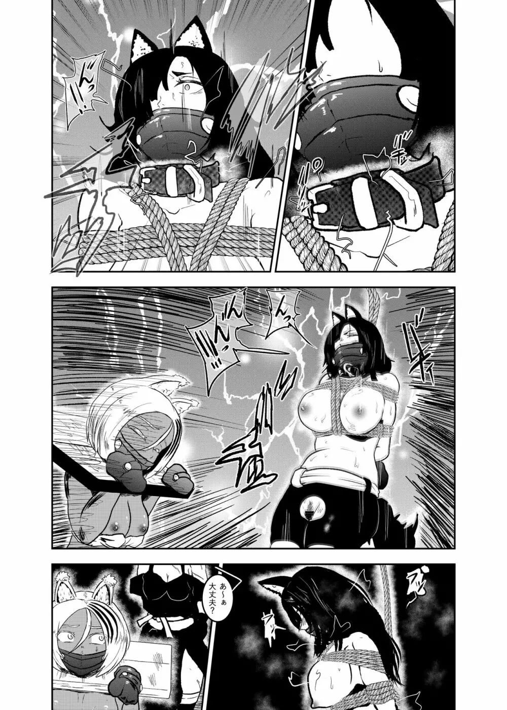 ヴァンパレイド8 ~白猫 黒狼 拘束編~ Page.10