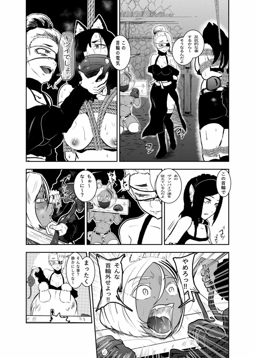 ヴァンパレイド8 ~白猫 黒狼 拘束編~ Page.11
