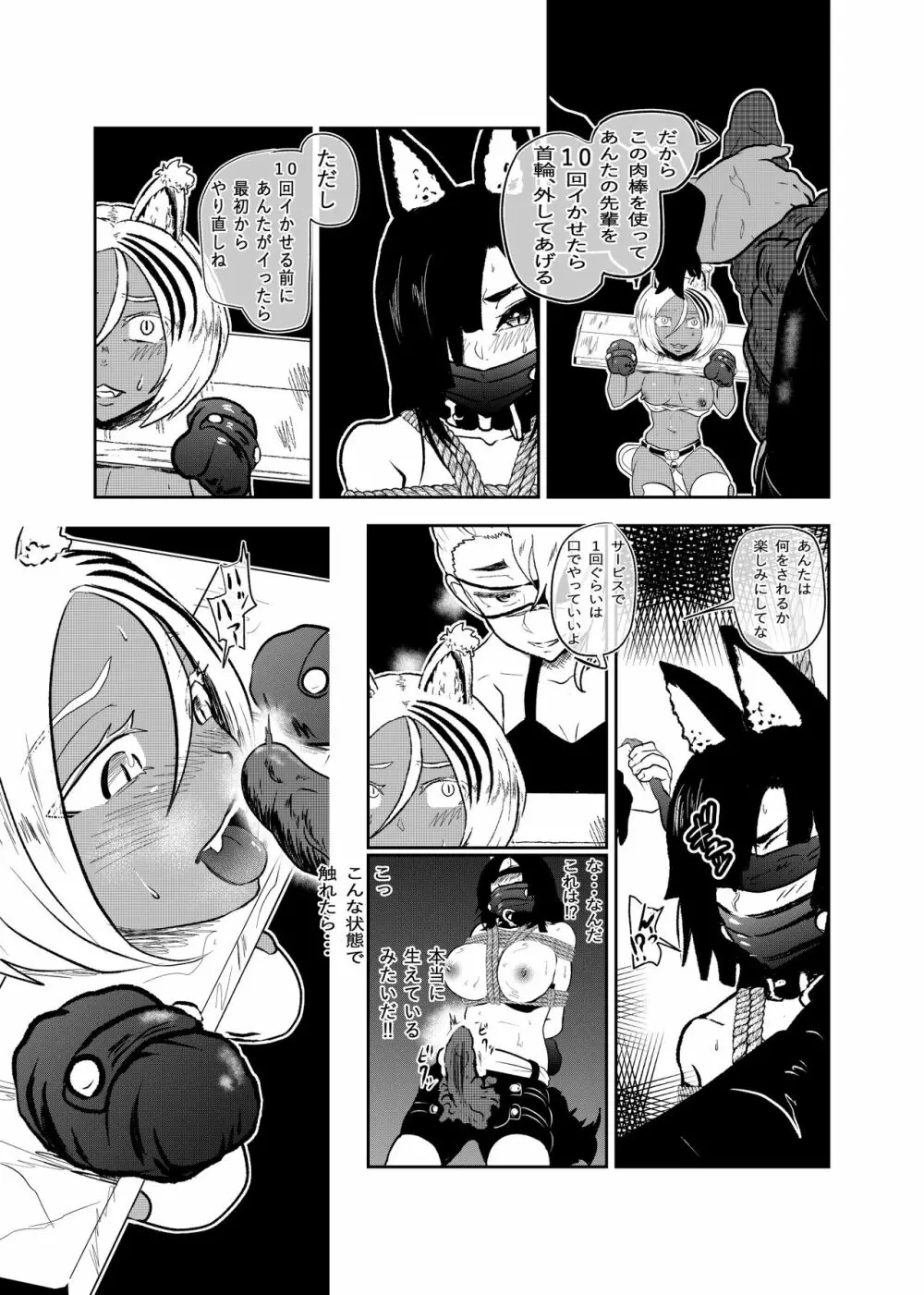 ヴァンパレイド8 ~白猫 黒狼 拘束編~ Page.13