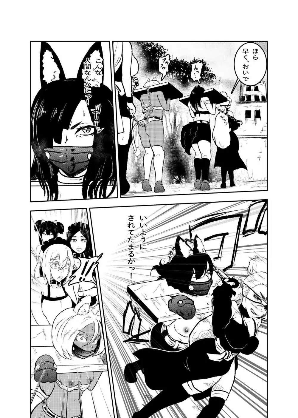 ヴァンパレイド8 ~白猫 黒狼 拘束編~ Page.4