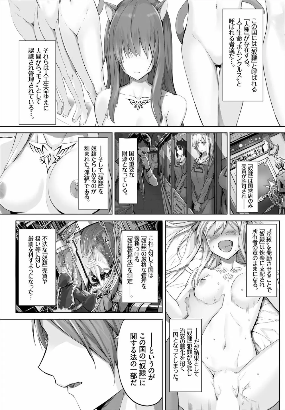 愚か者は猫耳奴隷に依存する~初めての調教生活~ 01 Page.3