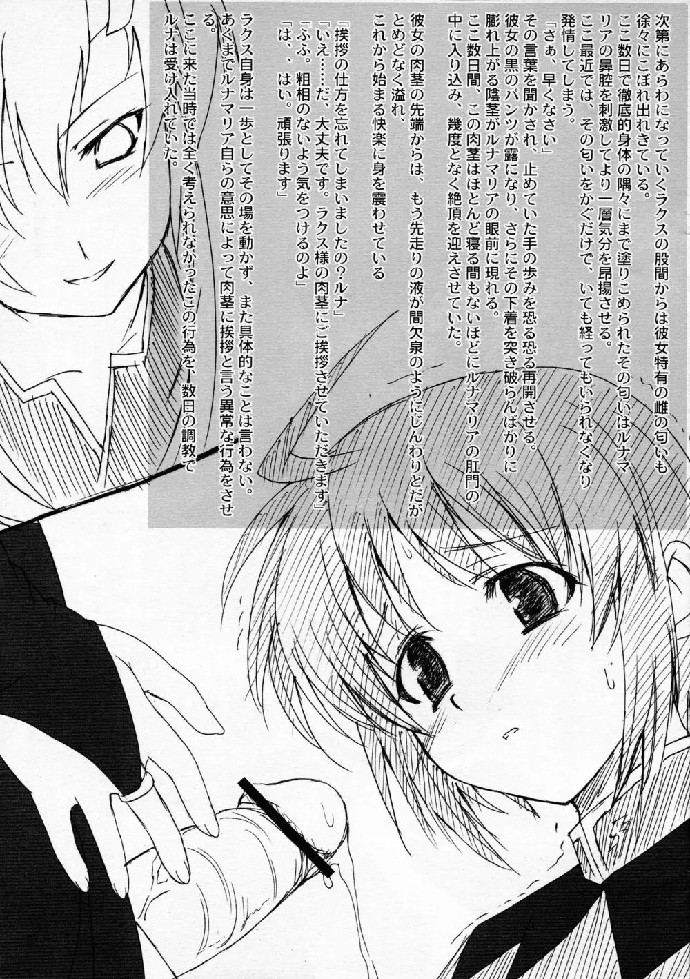 おまけ本 ~ルナマリアとラクスの場合~ Page.6