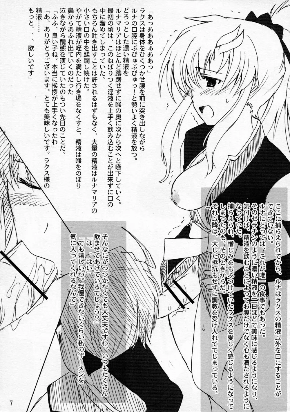 おまけ本 ~ルナマリアとラクスの場合~ Page.8