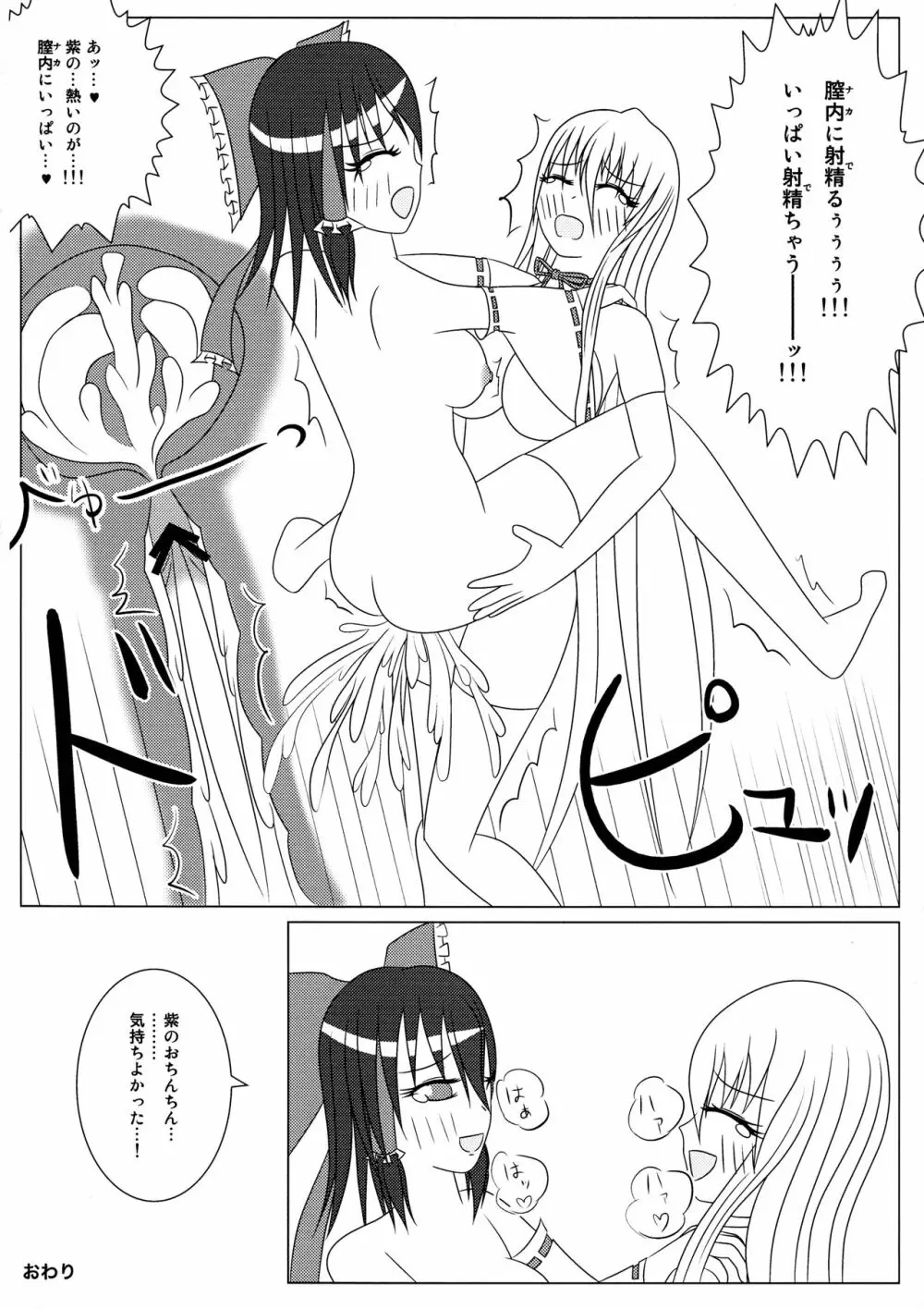 紫と霊夢のH日記 ~ゆかれいむふたなりえっち本~ Page.14