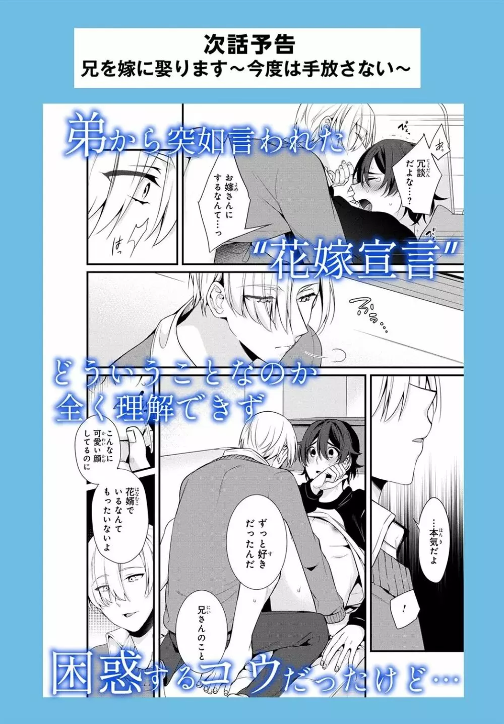 兄を嫁に娶ります~今度は手放さない~R18版1-4巻 Page.28