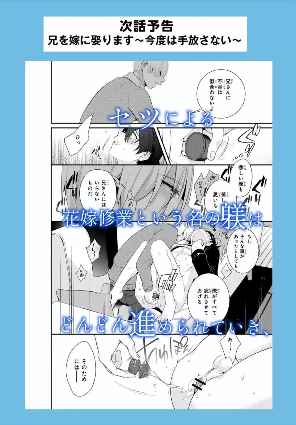 兄を嫁に娶ります~今度は手放さない~R18版1-4巻 Page.29