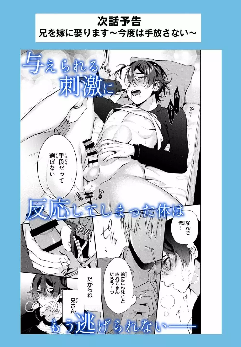 兄を嫁に娶ります~今度は手放さない~R18版1-4巻 Page.30