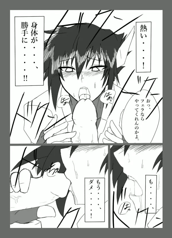 チキられエールさん 総集編1(ロックマンゼクス アドベント) Page.14