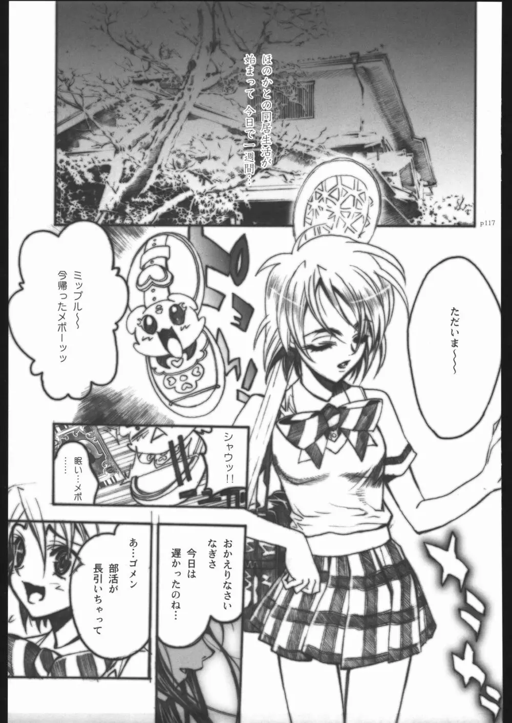 アタックフォルム Page.114