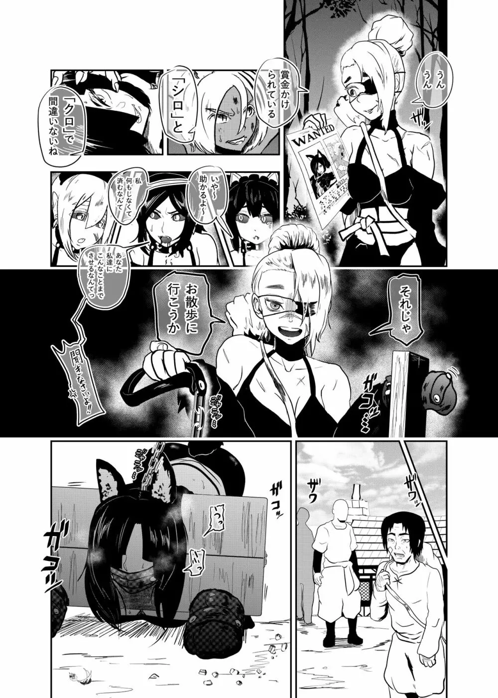 ヴァンパレイド7 ~白猫 黒狼 拘束編~ Page.11
