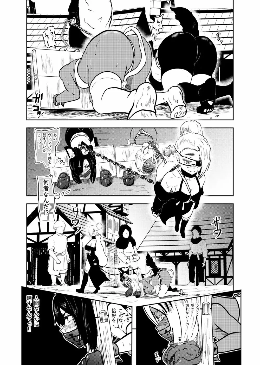 ヴァンパレイド7 ~白猫 黒狼 拘束編~ Page.13
