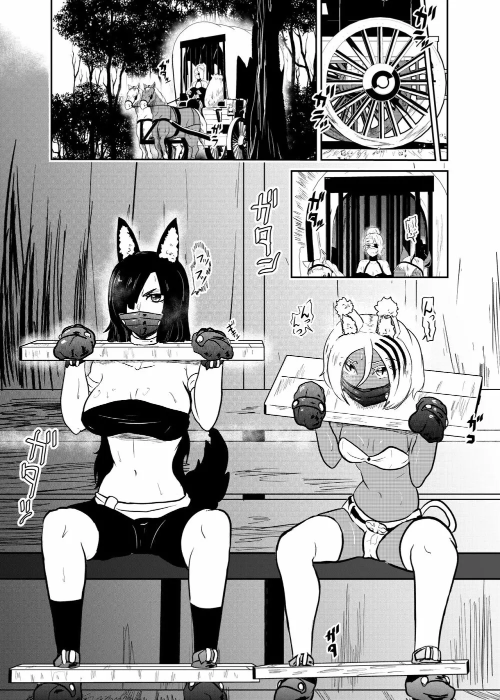ヴァンパレイド7 ~白猫 黒狼 拘束編~ Page.14