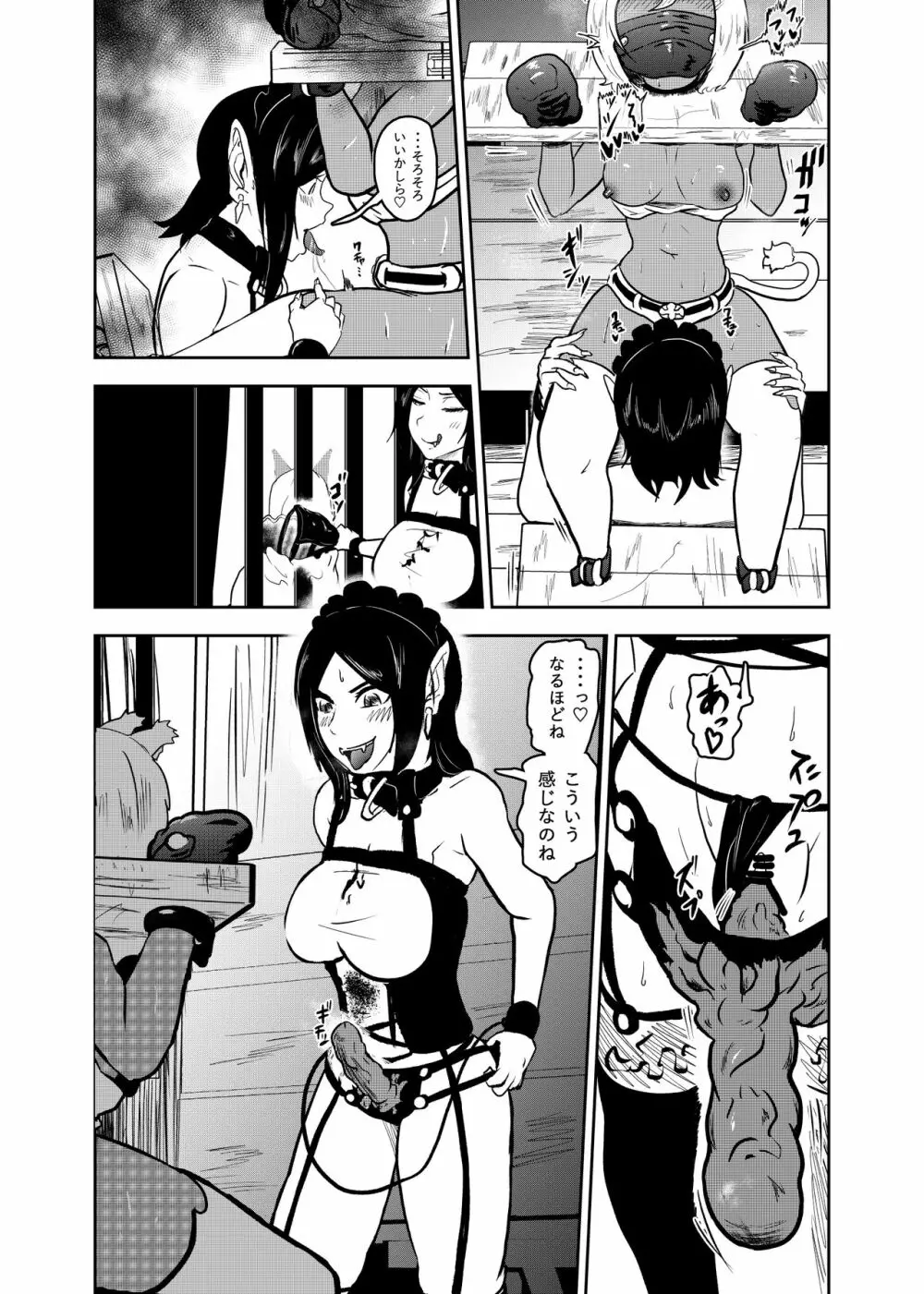 ヴァンパレイド7 ~白猫 黒狼 拘束編~ Page.19