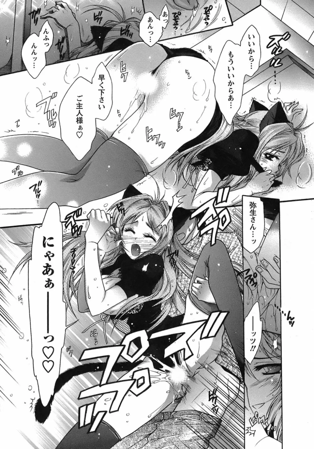 運んでニャンコ! Page.181