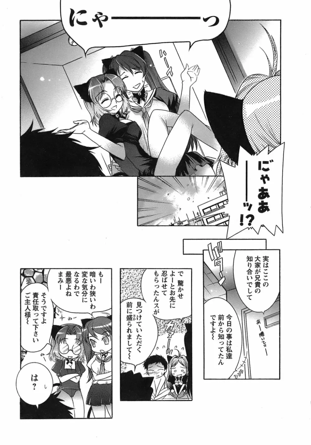 運んでニャンコ! Page.184