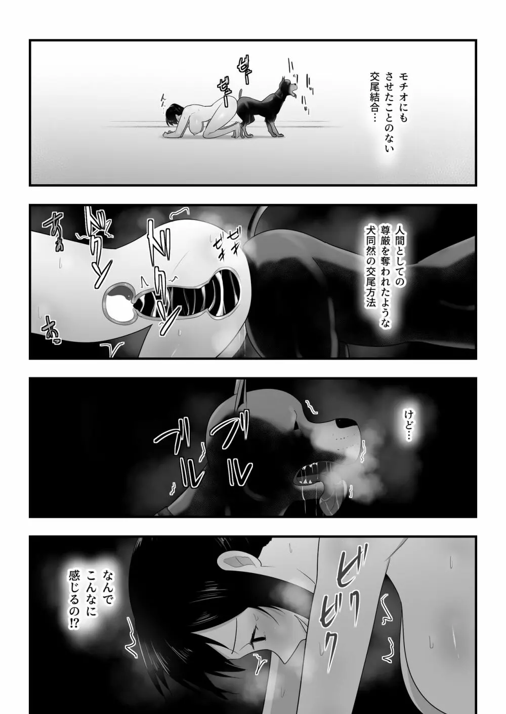 我が家にペットがやってきた3 Page.47