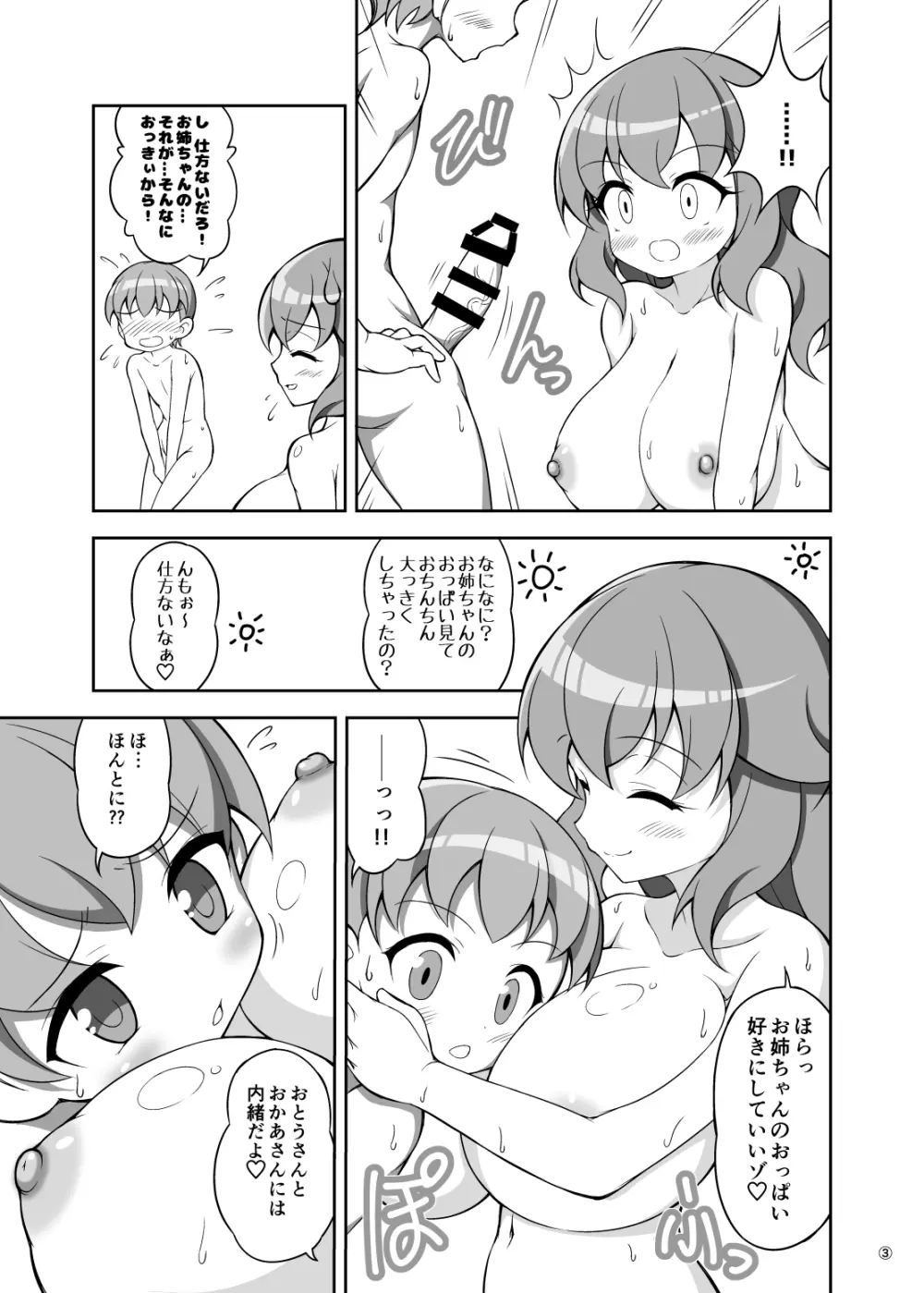 お姉ちゃんと一緒にお風呂に入ったら Page.3