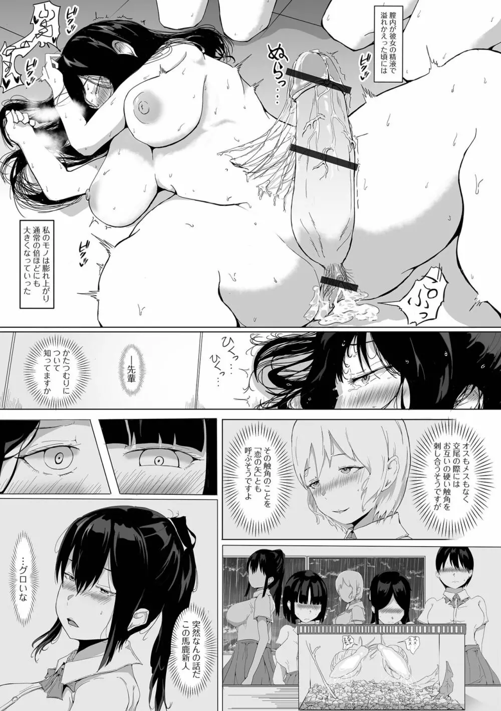 ふたなりフレンズ!17 Page.31