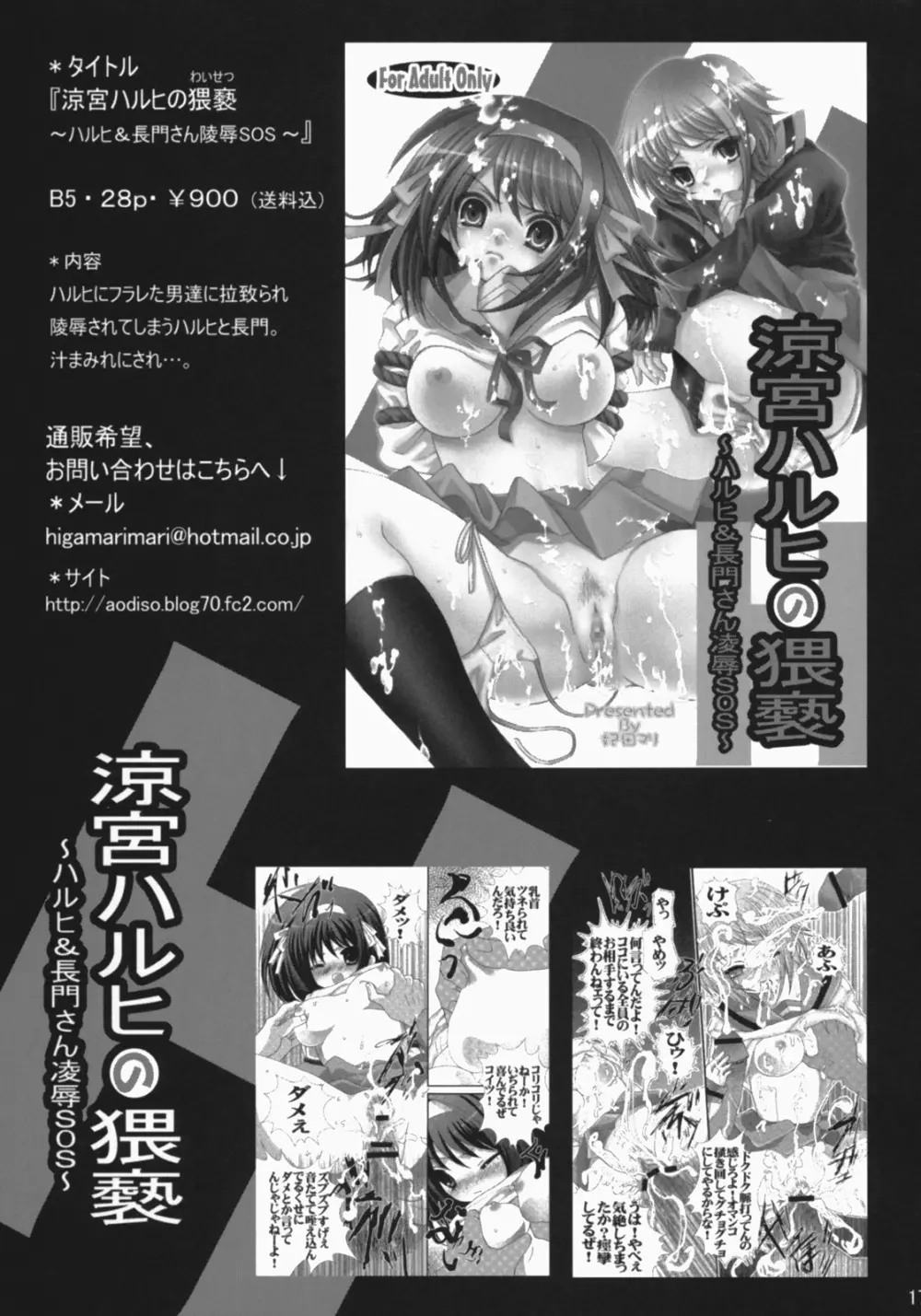 涼宮ハルヒの猥褻2~メイドみくる&スク水長門調教SOS~ Page.17