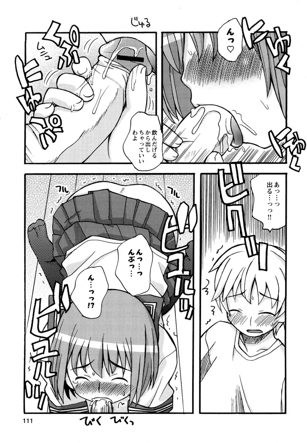 ぼくだって姉とセックスしてみたい! Page.113