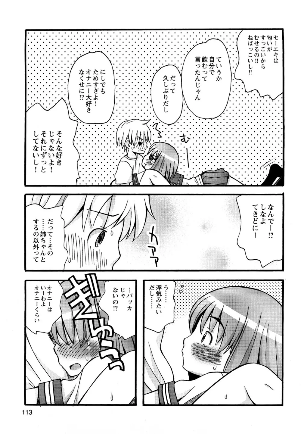 ぼくだって姉とセックスしてみたい! Page.115